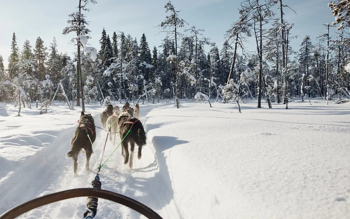 A husky team on a snowy track near Santa Claus Village outside Rovaniemi